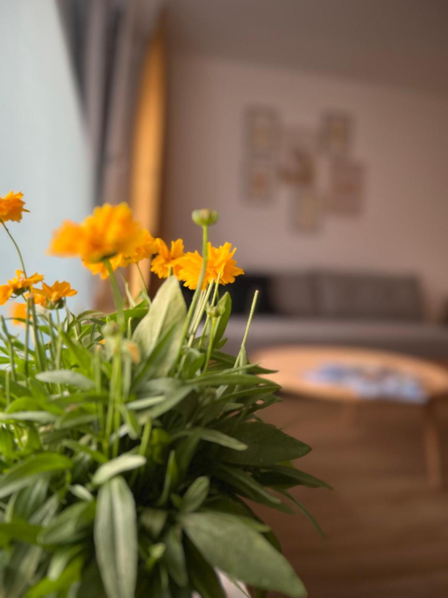 Ferienwohnung Sonneck Oberstaufen Exteriör bild